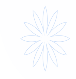 开云·体育(中国)官方网站-KAIYUN SPORTS