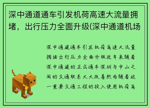 深中通道通车引发机荷高速大流量拥堵，出行压力全面升级(深中通道机场互通规划图)