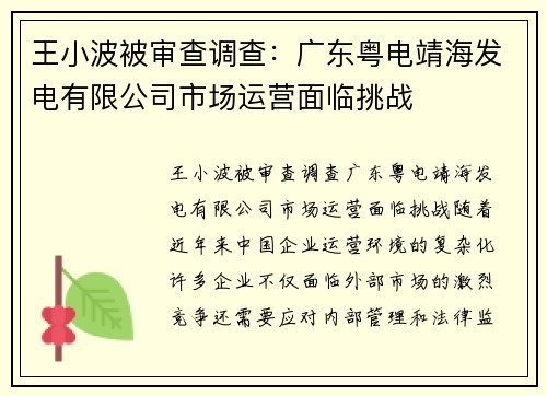 王小波被审查调查：广东粤电靖海发电有限公司市场运营面临挑战